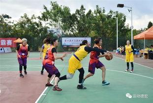 省体育中心爆料事件最新,真相揭秘，事件背后惊心动魄