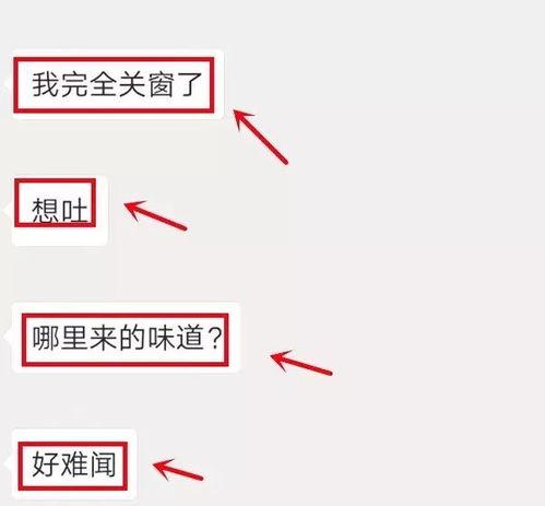金沙洲爆料新闻最新,揭秘事件背后惊人真相